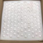 Buy Bobwhite Quail Eggs