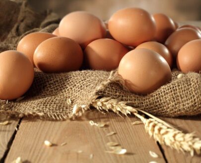 French Black Copper Marans Hatching Eggs