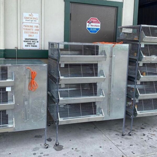 Brooders For Sale