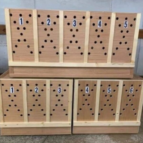 Buy Carry Boxes