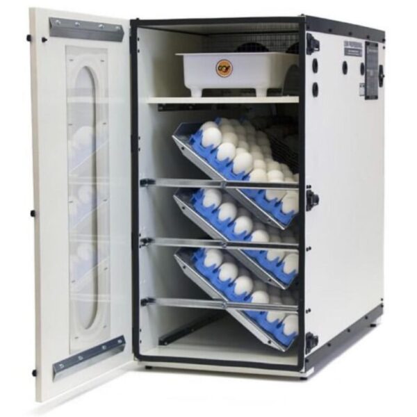 Cabinet Incubator For Sale