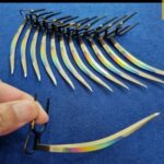 buy poultry knives dozen