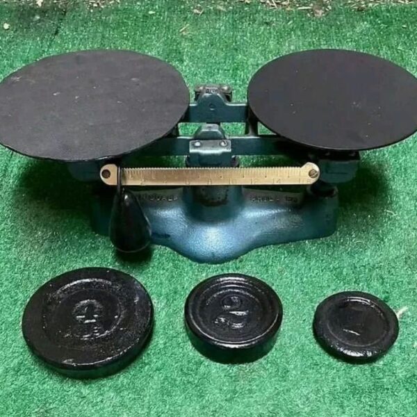 buy poultry weighing scale